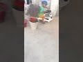 Ghonghte Me Dekhne Wala