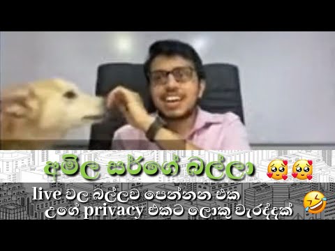 අමිල සර්ගේ බල්ලා  😍🐶❤