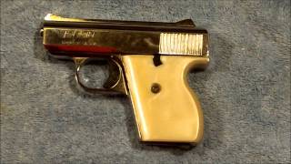 Lorcin L25: Review and Field Stripping