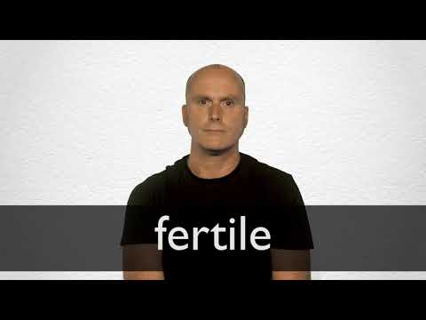 Fertile Definition And Meaning Collins English Dictionary