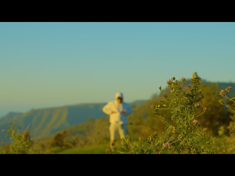 Kajed - Katrina II (Videoclip Oficial) //Chapter III// #TodosNacemosGrises