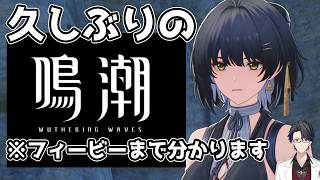 チルい鳴潮配信　久しぶりにログインしてみました『鳴潮』【マスター】#vtuber