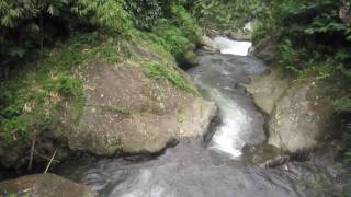 preview picture of video 'Gitgit Waterfall - Bali, Indonesia'