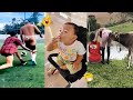 Compilation Of The Funniest Fails On Earth You Laugh You Lose Funny Videos 2024 621