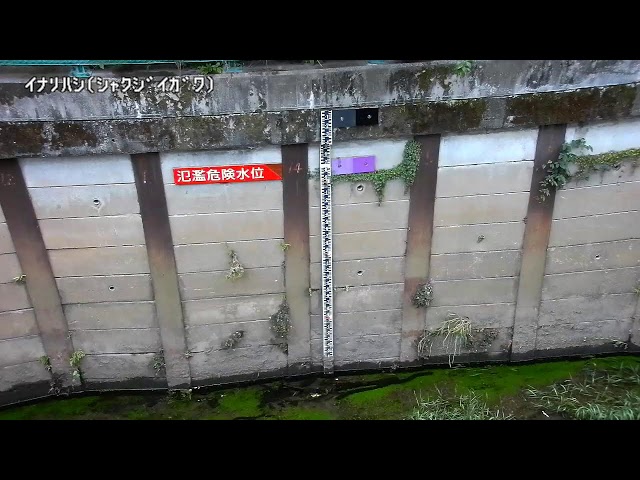 稲荷橋映像監視局