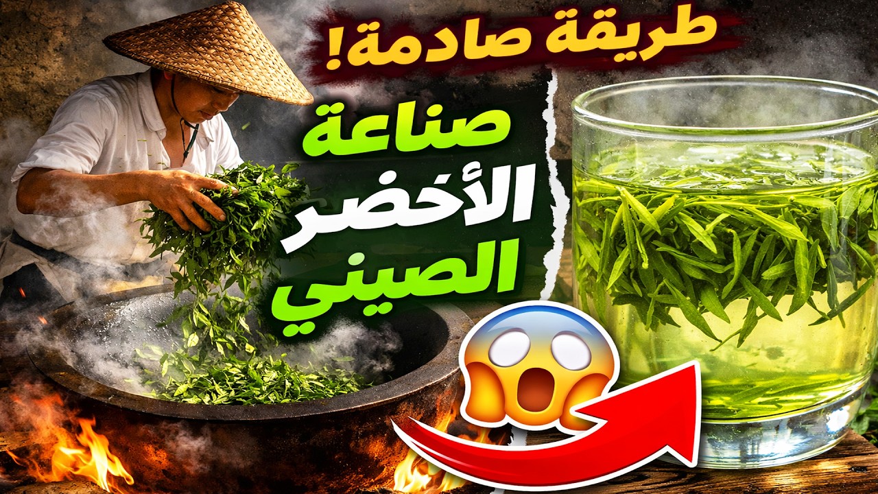 أسرار صناعة الشاي الأخضر الصيني… ستدهشك التفاصيل!