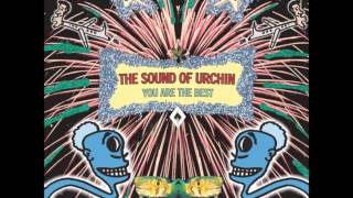 The Sound Of Urchin - Laying On Your Zeets
