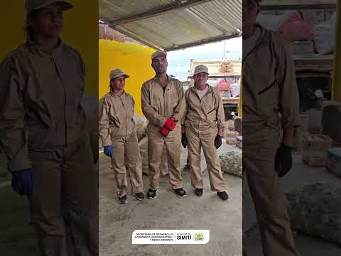 🌿♻️ Seguimos comprometidos con el cuidado del medio ambiente.