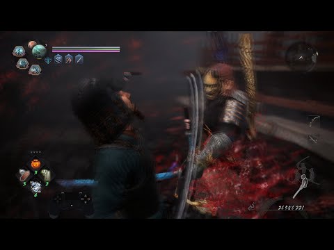 Beginner to Master Series - Dual Swords