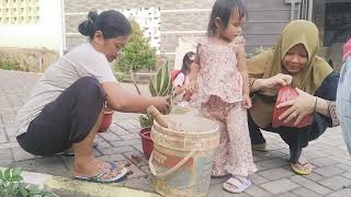 PLANTING FLOWERS IN THE AFTERNOON WITH THE HELP OF THE KIDS