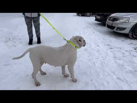 Carpen Diaz Yamina 3 years old