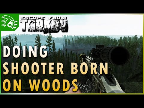 Guide: Dealing with the Changes to A Shooter Born in Heaven On Woods - Escape from Tarkov