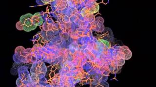 Breton - Response Times