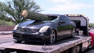 Car against cactus: an unusual accident in the USA