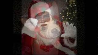 HAPPY CHRISTMAS RARE COLLECTIVE ROCK MUSIC (2011)