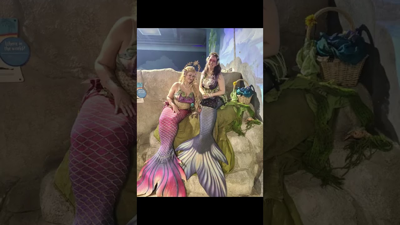 Promotional video thumbnail 1 for Mermaid Meko (& Friends!)