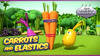 The Beet Party - Carrots and Elastics