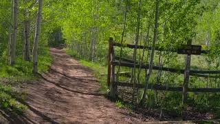 A good excuse to bring the bike on a fishing trip.