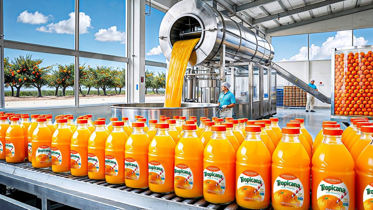 How Orange Juice Is Made In Factory
