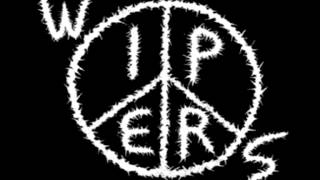 Wipers - Mystery (Acoustic cover)