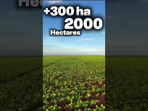 FAZENDA À VENDA EM BOM JESUS DO ARAGUAIA MT | 3.705 ha– 2.000 ha em Agricultura (UBS + Transbordo)