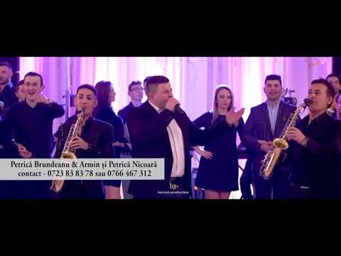 Petrică brundeanu si armin nicoara
