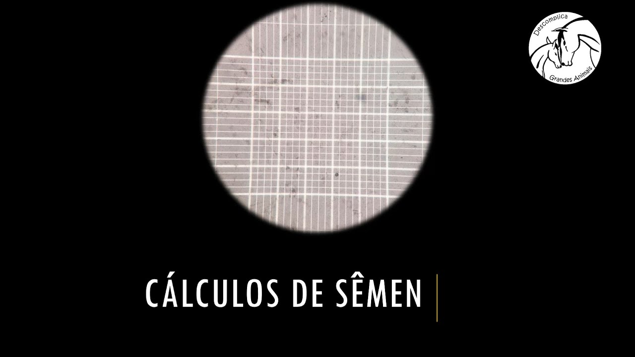 Como fazer cálculos de sêmen em Medicina Veterinária