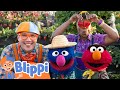 Strawberry Picking Adventure With Blippi Elmo Blippi X Sesame Street Fun Farm Videos For Kids
