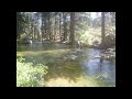 Robert Miles Children Slowed Best Part Looped