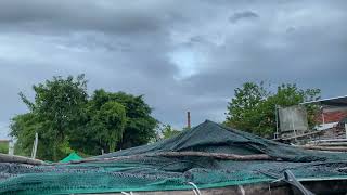 Nuôi loại Cá nào lợi nhuận cao nhất