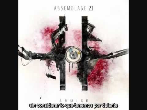 Assemblage 23 - The noise inside my head [Subtitulada]