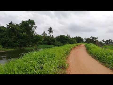 Thushara#At kandalama lake