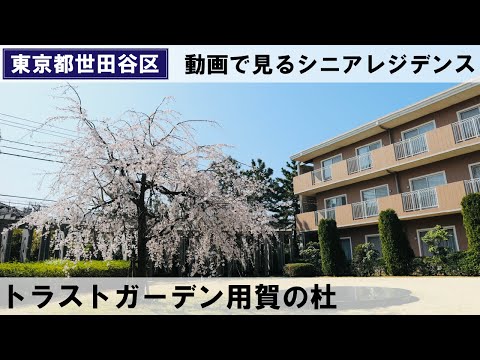 トラストガーデン用賀の杜（介護付有料老人ホーム/東京都世田谷区）