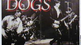 Dogs - When I Came Home