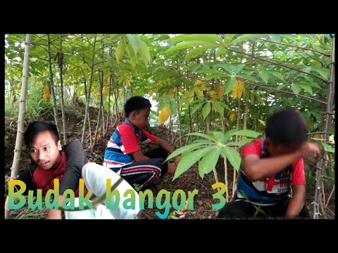 budak-bangor-3-penyok-galau