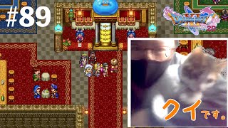 寄り道回）…っていうか、もうほぼ猫と遊んでるだけの回です【ドラゴンクエストⅪS】ダイエット実況Season2D89