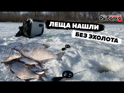 Нашли леща без эхолота