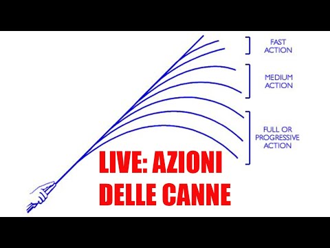 LIVE: AZIONI DELLE CANNE - COME SCEGLIERE QUELLA GIUSTA?