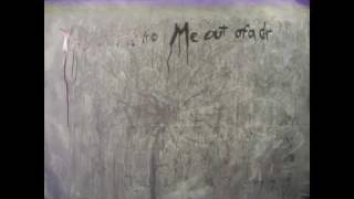 The Dodos (Undeclared)