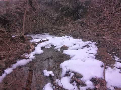 Paraul Gurasada 2015