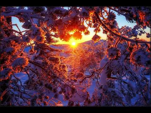 Liquid Fraction --  Cold Season Part 3 - Deep Ambient Techno  - 2025.