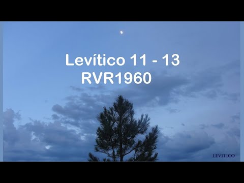 Levitico 11 - 13