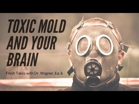Toxic Mold and Your Brain