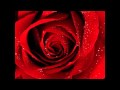 Charlie Hall - One Thing (lyrics) 