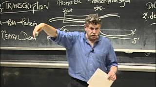 Transcription and Translation, excerpt 1 | MIT 7.01SC Fundamentals of Biology