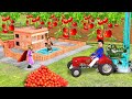 Mini Tractor Drilling Machine Mini Brick House Farming Moral Stories Hindi Kahani Funny Comedy Video