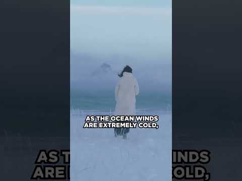 You could walk from Russia to Alaska 🚶🏻🇺🇸🇷🇺