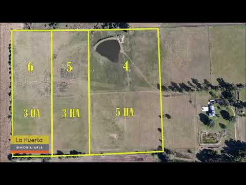 VENTA DE 3 CHACRAS  EN LA VIGNA COLONIA. REF: 675.