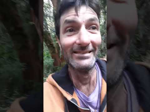 Bariloche. Cerro Otto. Bosque de arrayanes. Caminata. Lago López. Río Negro. Argentina.