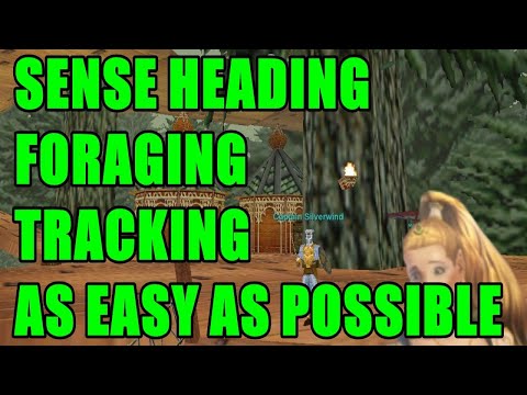 EverQuest P99 Quick Tip #7 - Easy Sense Heading, Foraging and Tracking Skill